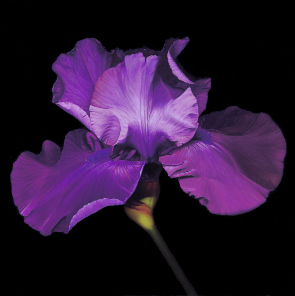 BLU008