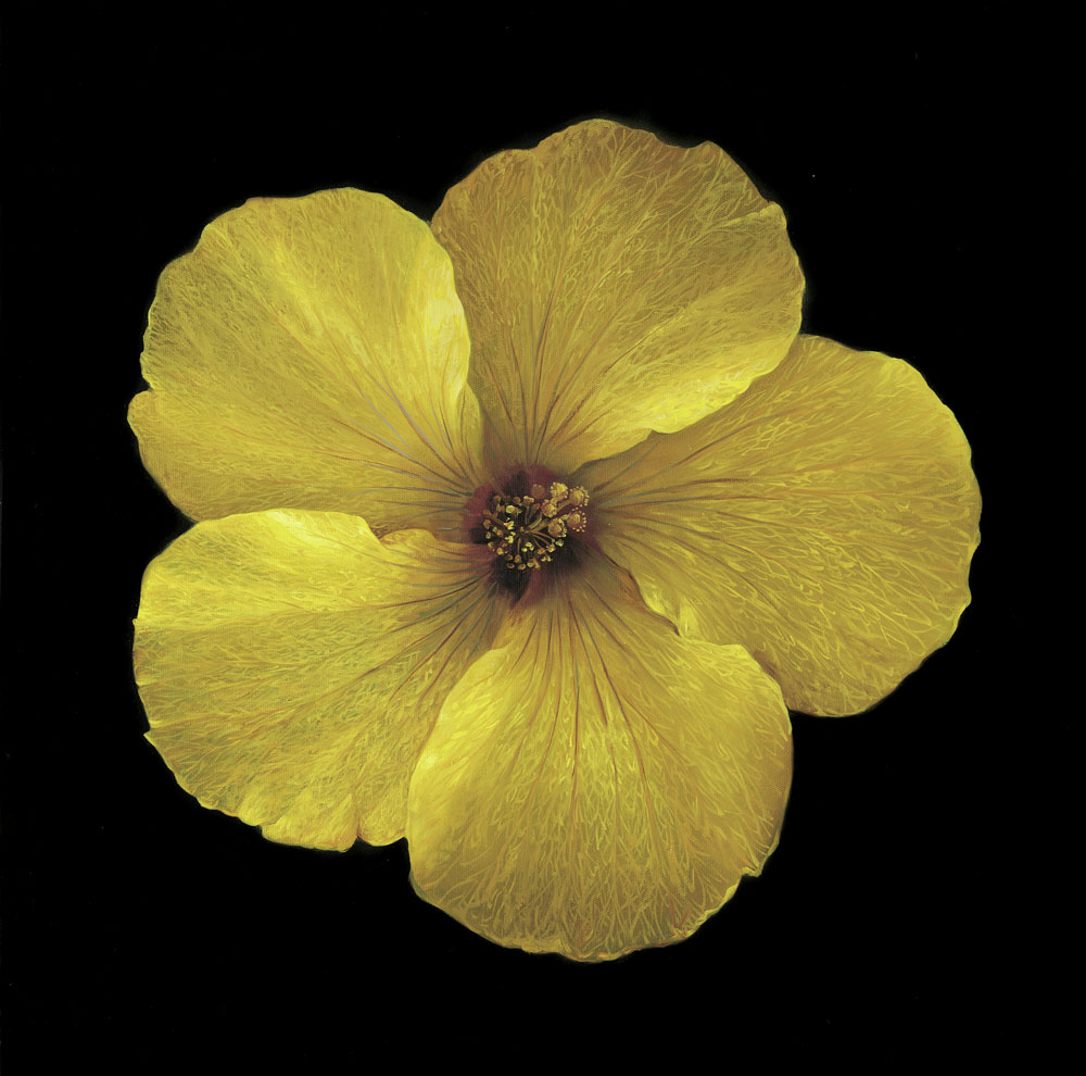 BLU009
