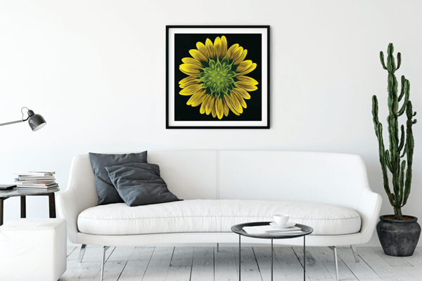 BLU001_Mockup1